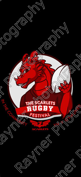MiTour Scarletts Rugby Festival South Wales April 2019